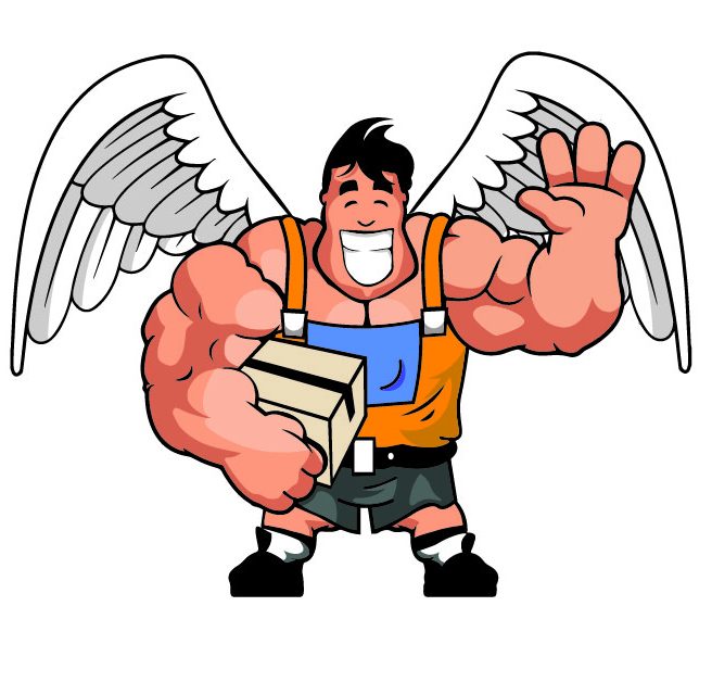 Umzug mit den Profis 